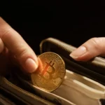 How to Choose a Cryptocurrency Wallet?